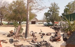 17 Bedroom House For Sale in Uis