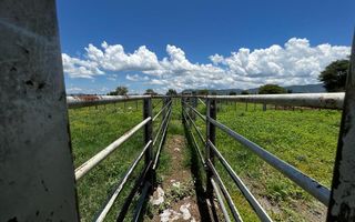 Small Holding / Plot For Sale in Otavi