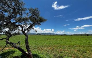 Small Holding / Plot For Sale in Otavi