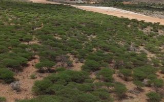 Small Holding / Plot For Sale in Windhoek Central, Windhoek