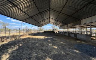 Farm For Sale in Otavi