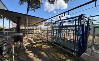 Farm For Sale in Otavi