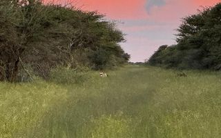 Farm For Sale in Hochfeld