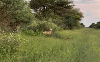 Farm For Sale in Hochfeld