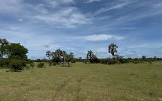 Farm For Sale in Grootfontein