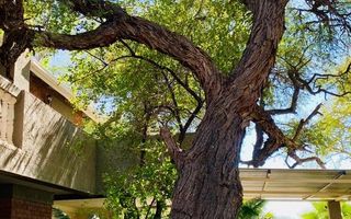 3 Bedroom House For Sale in Okahandja