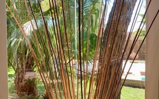 3 Bedroom House For Sale in Okahandja