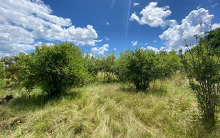 Small Holding / Plot For Sale in Otavi