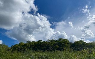 Small Holding / Plot For Sale in Otavi