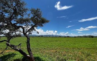 Small Holding / Plot For Sale in Otavi