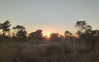 Farm For Sale in Rundu