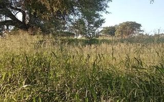 Farm For Sale in Rundu