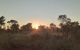 Farm For Sale in Rundu