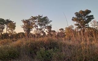 Farm For Sale in Rundu