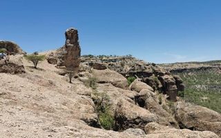 Farm For Sale in Outjo