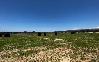 Farm For Sale in Outjo