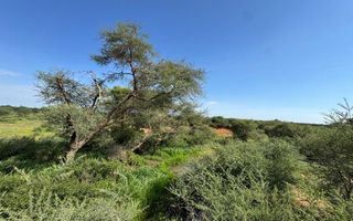 Small Holding / Plot For Sale in Hochfeld