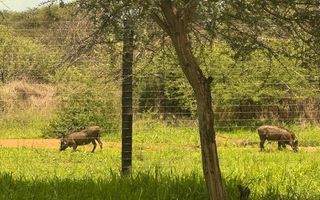 Small Holding / Plot For Sale in Hochfeld