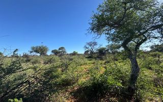 Small Holding / Plot For Sale in Hochfeld