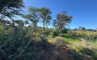 Small Holding / Plot For Sale in Hochfeld