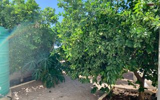 3 Bedroom House For Sale in Okahandja