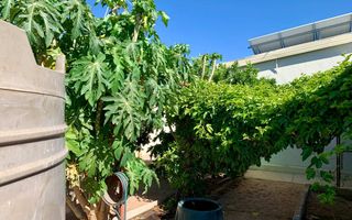 3 Bedroom House For Sale in Okahandja