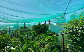 3 Bedroom House For Sale in Okahandja