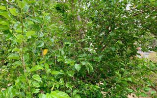 3 Bedroom House For Sale in Okahandja