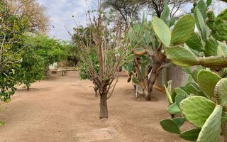 3 Bedroom House For Sale in Okahandja