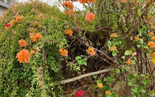 3 Bedroom House For Sale in Okahandja