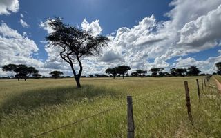 Farm For Sale in Steinhausen