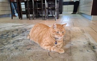 4 Bedroom House For Sale in Ludwigsdorf