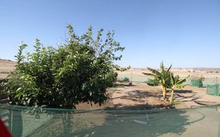 4 Bedroom Small Holding / Plot For Sale in Swakopmund River...