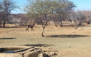 3 Bedroom House For Sale in Omaruru