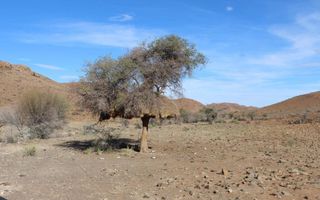 Farm For Sale in Helmeringhausen