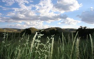 Farm For Sale in Helmeringhausen