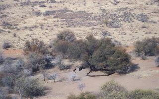 Farm For Sale in Helmeringhausen