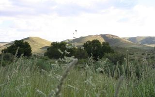 Farm For Sale in Helmeringhausen