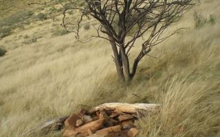 Farm For Sale in Helmeringhausen