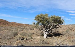 Farm For Sale in Helmeringhausen