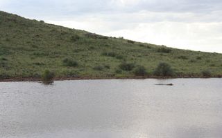 Farm For Sale in Helmeringhausen