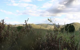 Farm For Sale in Helmeringhausen