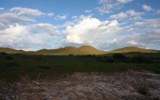 Farm For Sale in Helmeringhausen