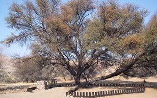 Farm For Sale in Helmeringhausen