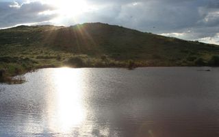 Farm For Sale in Helmeringhausen