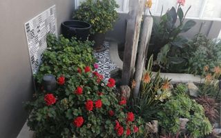 6 Bedroom House For Sale in Swakopmund Central, Swakopmund