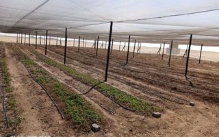 3 Bedroom Small Holding / Plot For Sale in Swakopmund River...