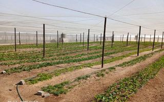 3 Bedroom Small Holding / Plot For Sale in Swakopmund River...