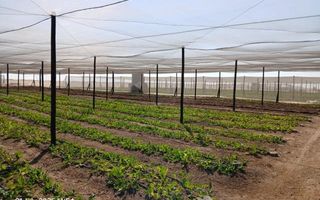 3 Bedroom Small Holding / Plot For Sale in Swakopmund River...