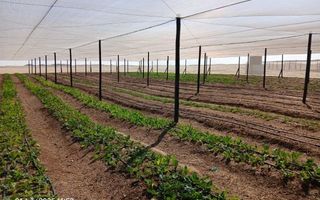 3 Bedroom Small Holding / Plot For Sale in Swakopmund River...